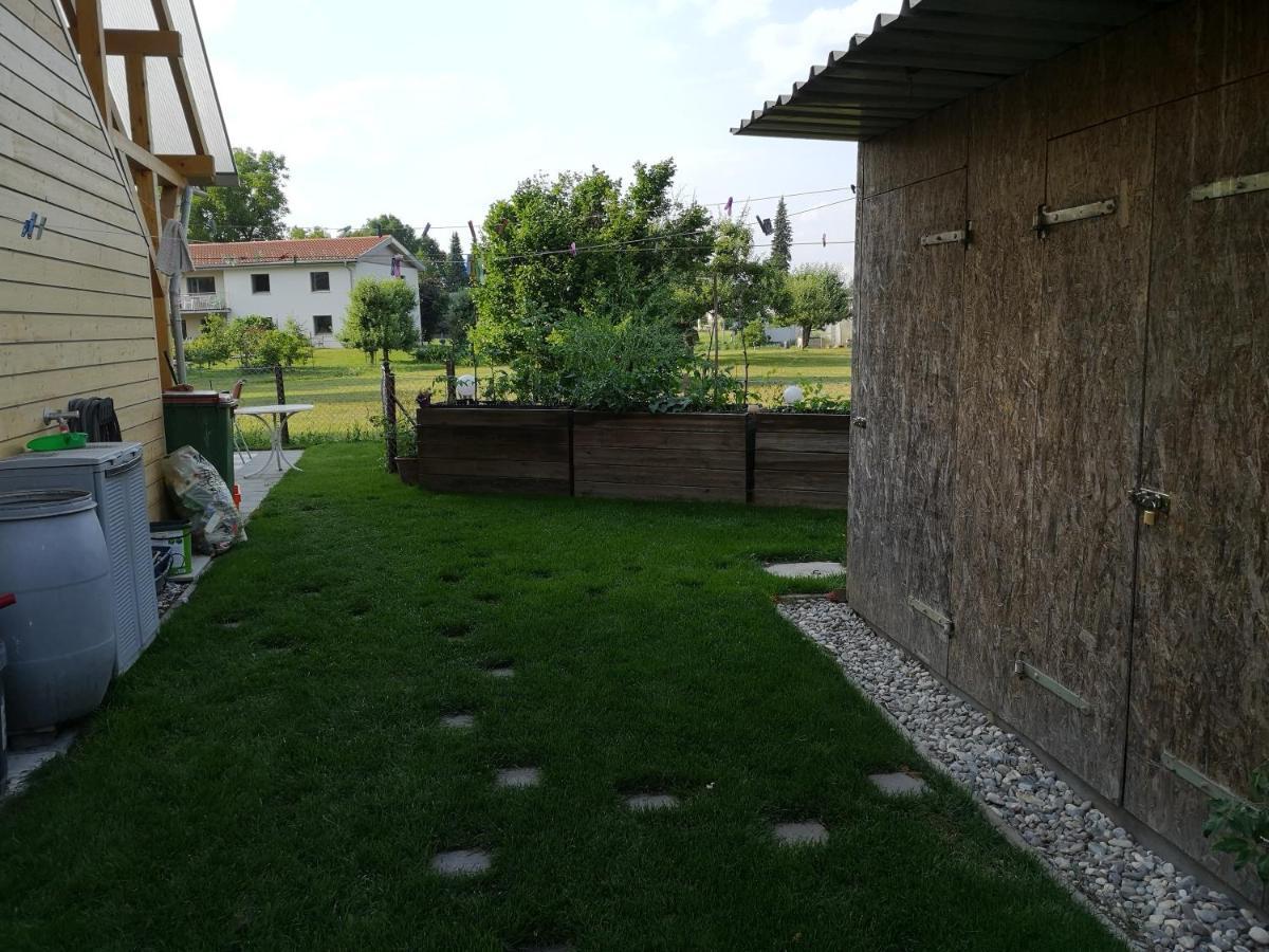 Ferienwohnung Tannenblick Höchst Dış mekan fotoğraf